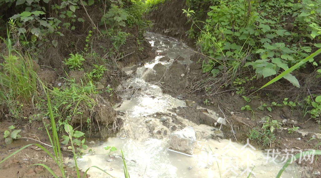 『丹徒区』环保部门称不知情|解忧帮 镇江丹徒区多处坑塘被倾倒大量碱性液体