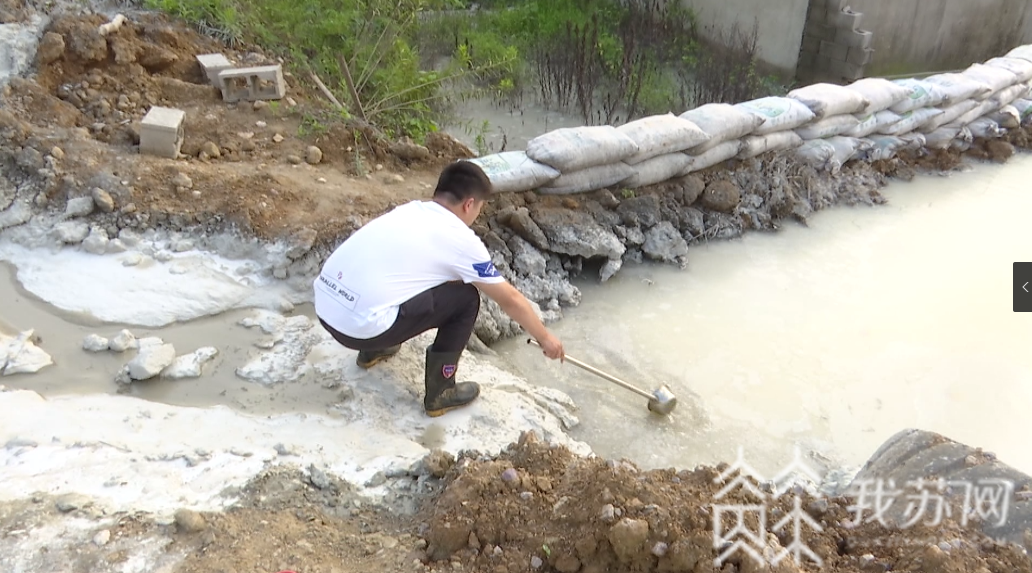 『丹徒区』环保部门称不知情|解忧帮 镇江丹徒区多处坑塘被倾倒大量碱性液体