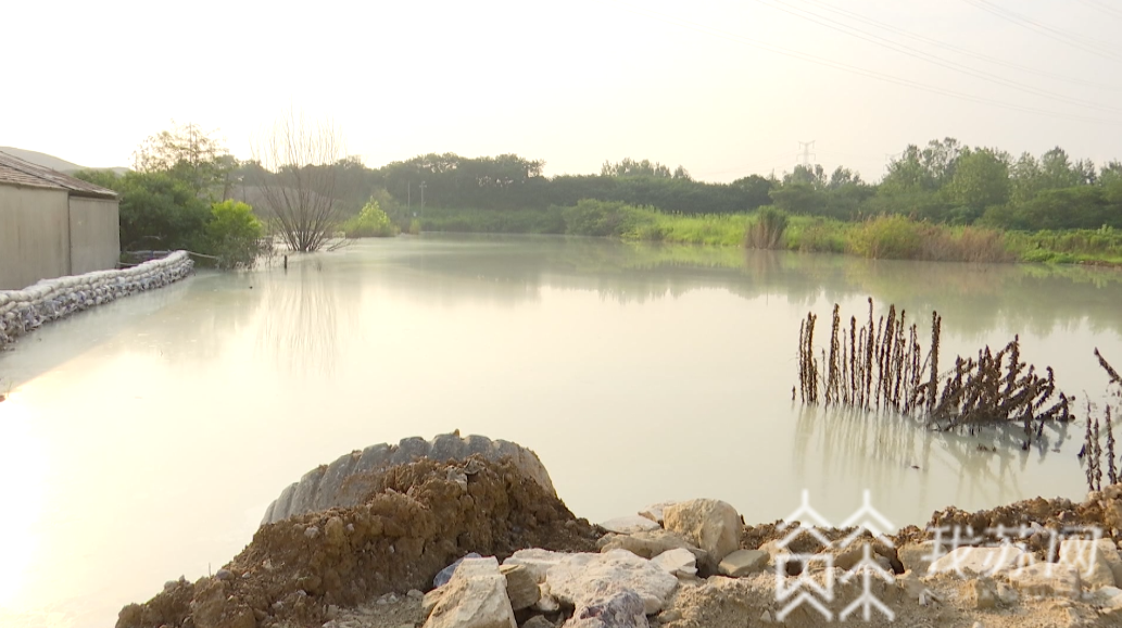 『丹徒区』环保部门称不知情|解忧帮 镇江丹徒区多处坑塘被倾倒大量碱性液体