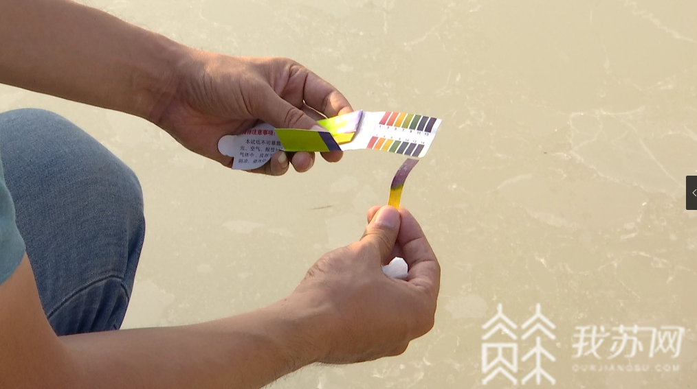 『丹徒区』环保部门称不知情|解忧帮 镇江丹徒区多处坑塘被倾倒大量碱性液体