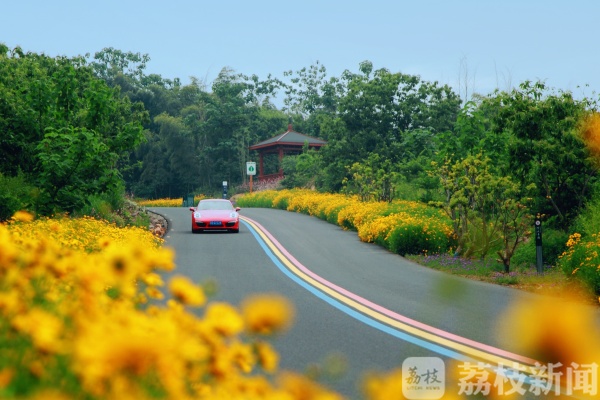 国庆长假去哪玩？江苏十条“最美农路”自驾游任你选