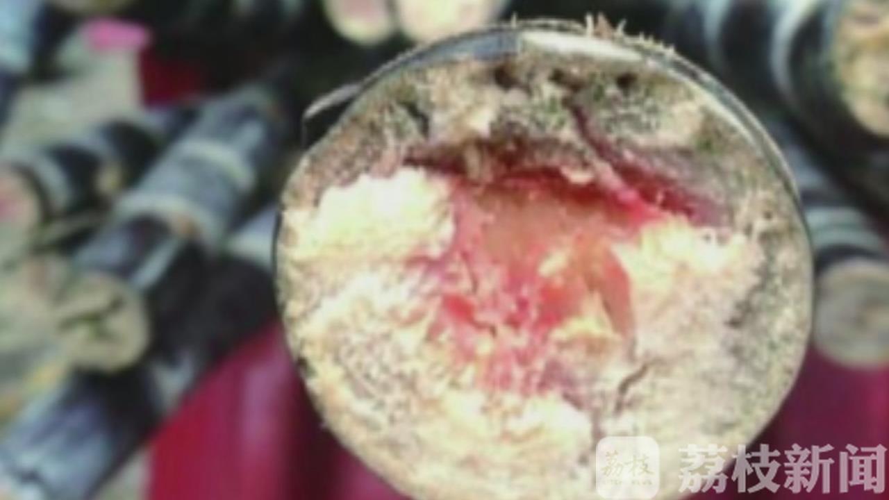 甘蔗@霉变甘蔗不可食 清明甘蔗“毒”过蛇