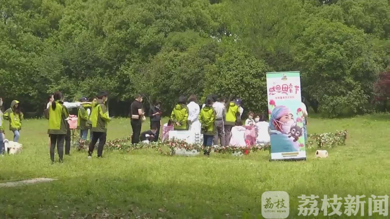 ：特殊认养致敬“白衣天使” 小狼崽有了“新妈妈”