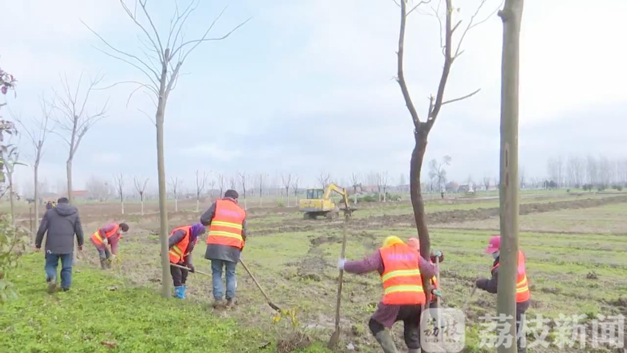 [植树造林] 植树造林正当时 盐城：疫情防控不放松