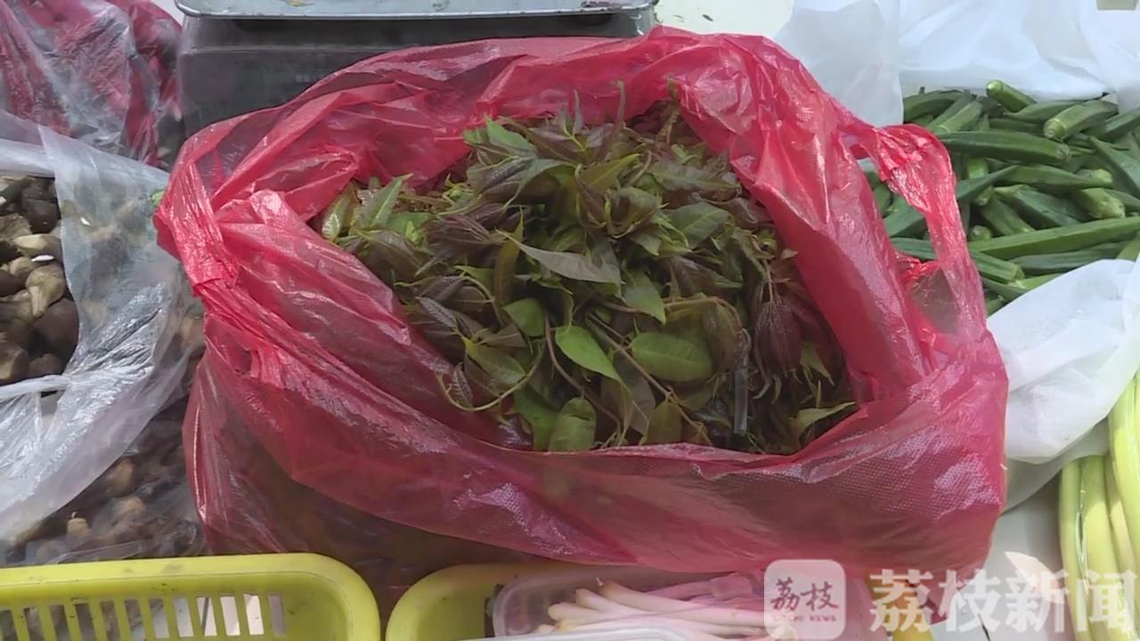 香椿■烹调食用有讲究 谷雨时节吃香椿