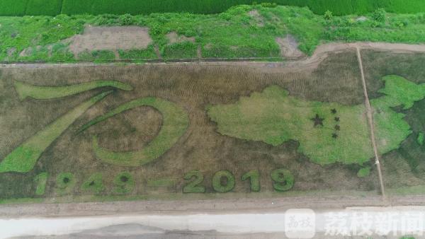 国庆去哪儿|特色乡村景如画 五彩稻田等你来