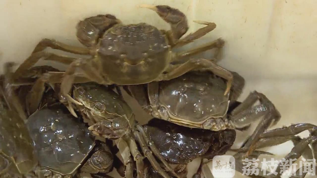 「六月」 “六月黄”提前上市 夏日里的一口鲜