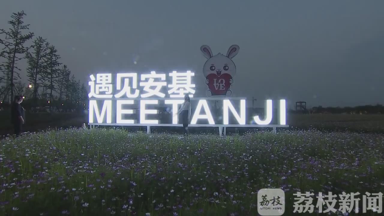 『乡村』开启美丽乡村“夜时代” 常州：安基村全面点亮