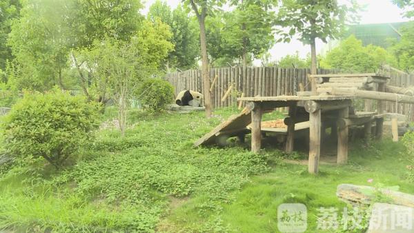 世界动物日：关爱野生动物 共享文明家园