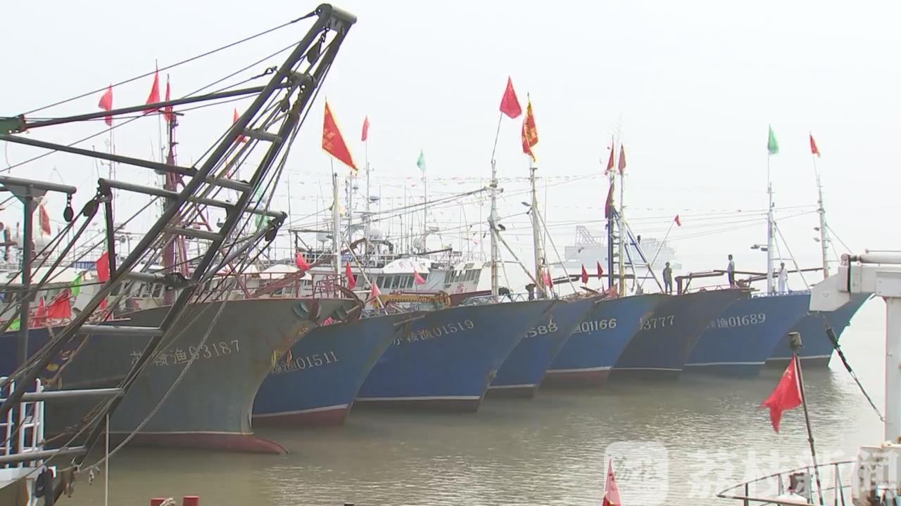 捕捞■今天起连云港海域对毛虾实行一个月捕捞许可