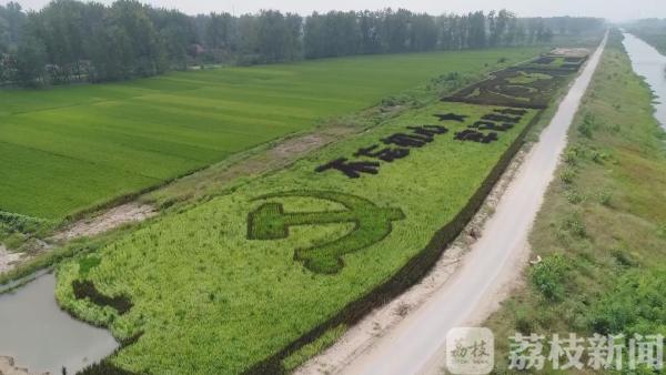 国庆去哪儿|特色乡村景如画 五彩稻田等你来