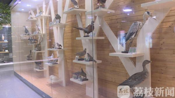 世界动物日：关爱野生动物 共享文明家园