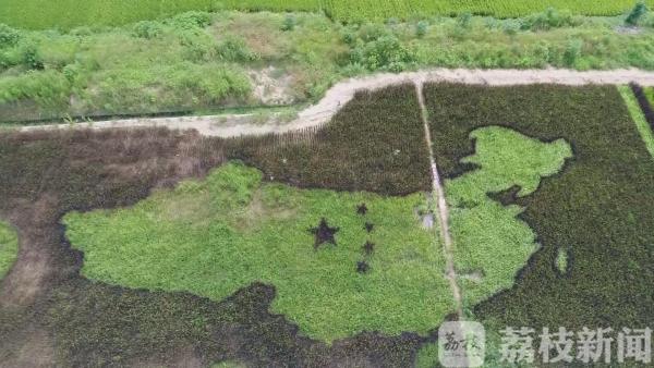 国庆去哪儿|特色乡村景如画 五彩稻田等你来