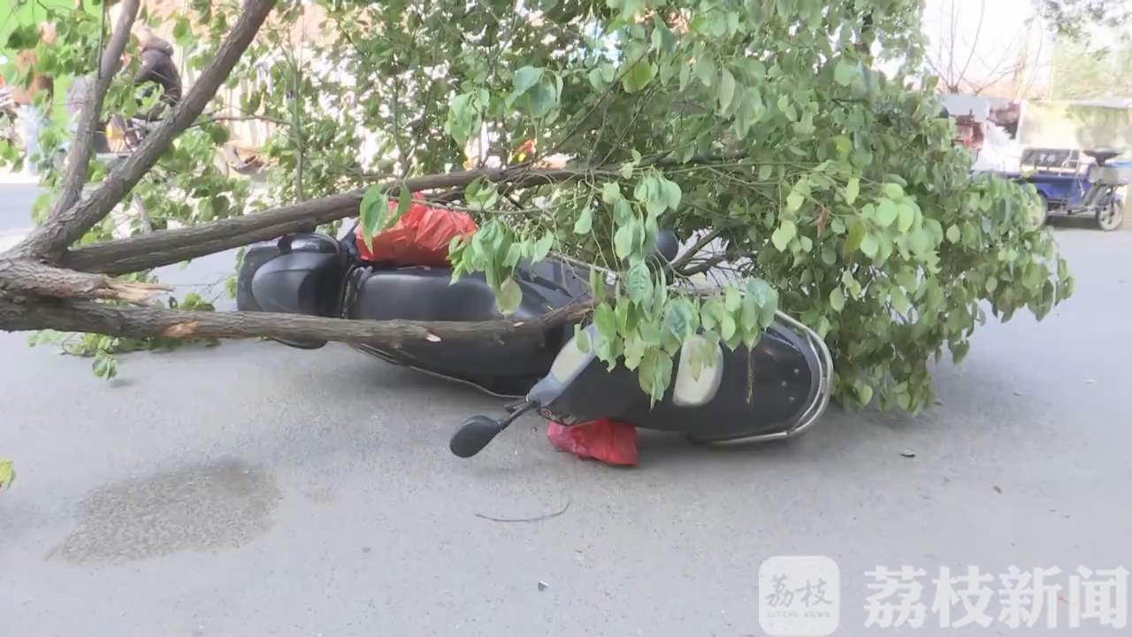 「女子」路过女子被砸中 大风刮倒行道树