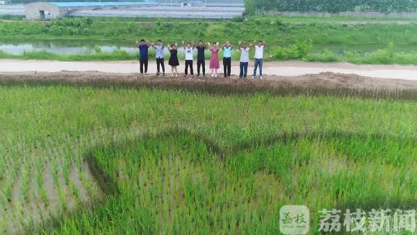 国庆去哪儿|特色乡村景如画 五彩稻田等你来