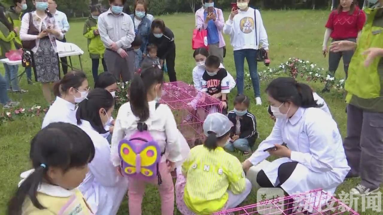 ：特殊认养致敬“白衣天使” 小狼崽有了“新妈妈”