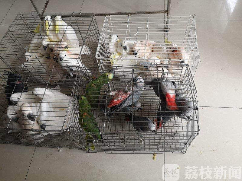 ■盐城警方破获一起跨省特大非法出售珍贵濒危野生动物案