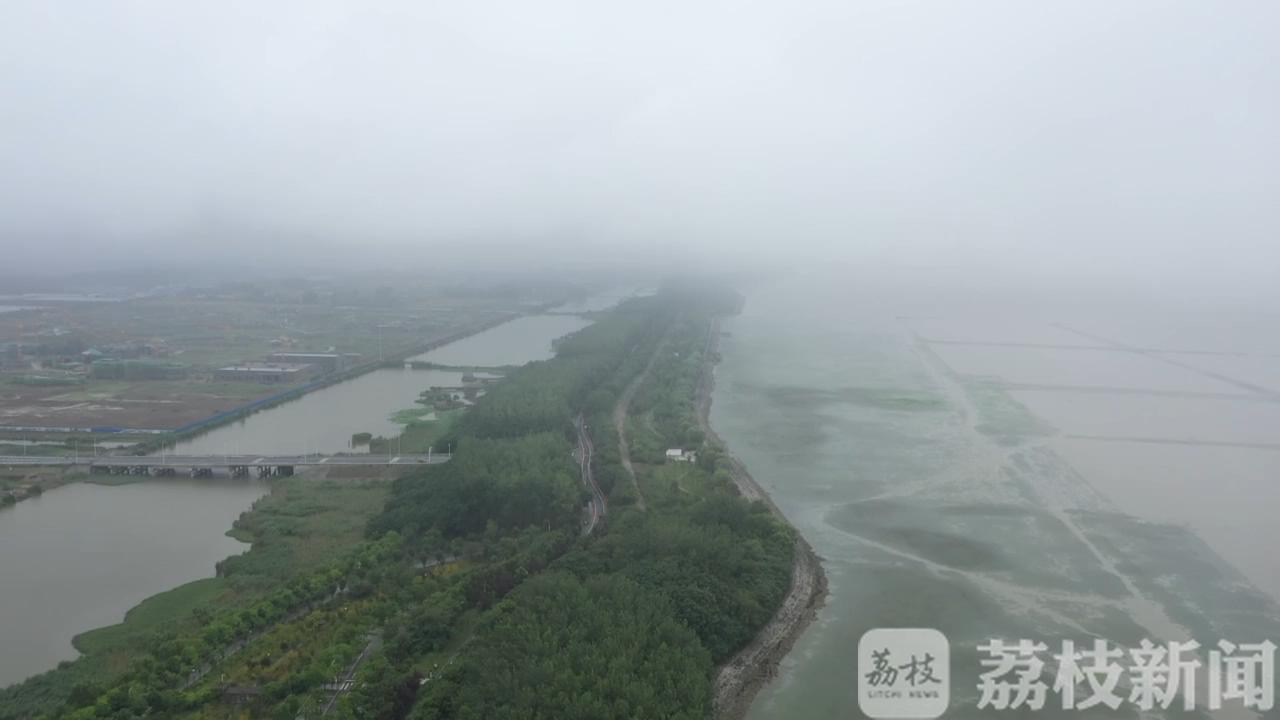 【苏北】苏北旱情已全面解除 最新消息！水利调度及时