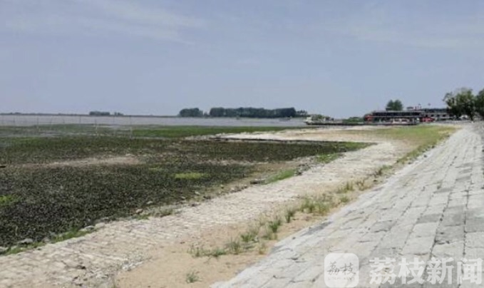 ■入梅前供水缺口6亿立方米！江苏苏北地区抗旱形势严峻