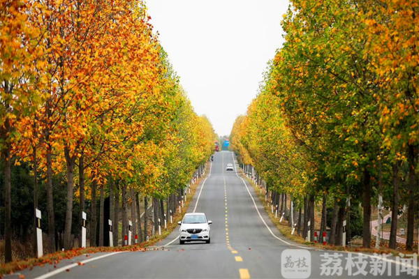 六合这条“红路”真好看，错过了要再等一年！