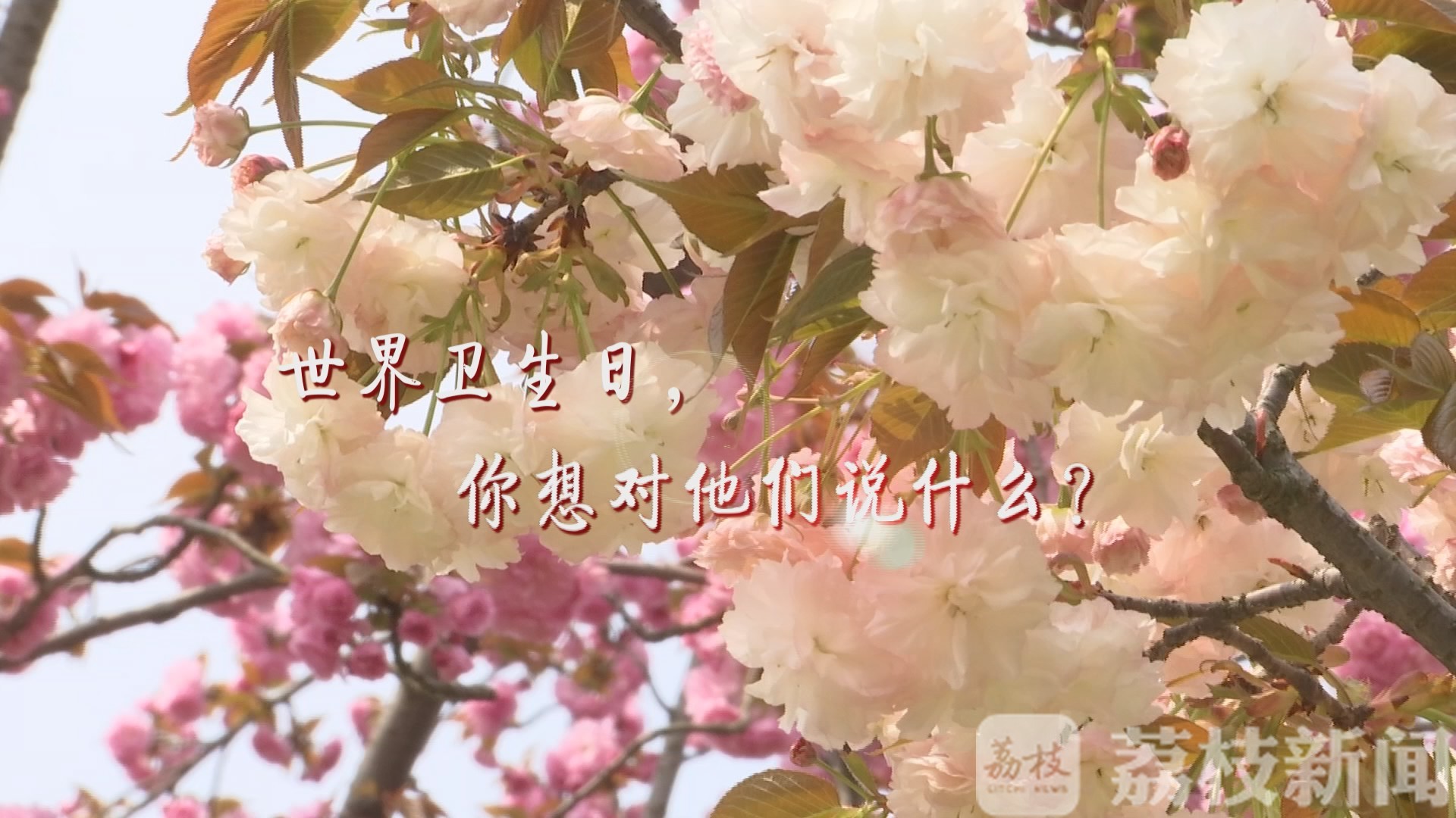 ■世界卫生日：护佑生命，向他们致敬！