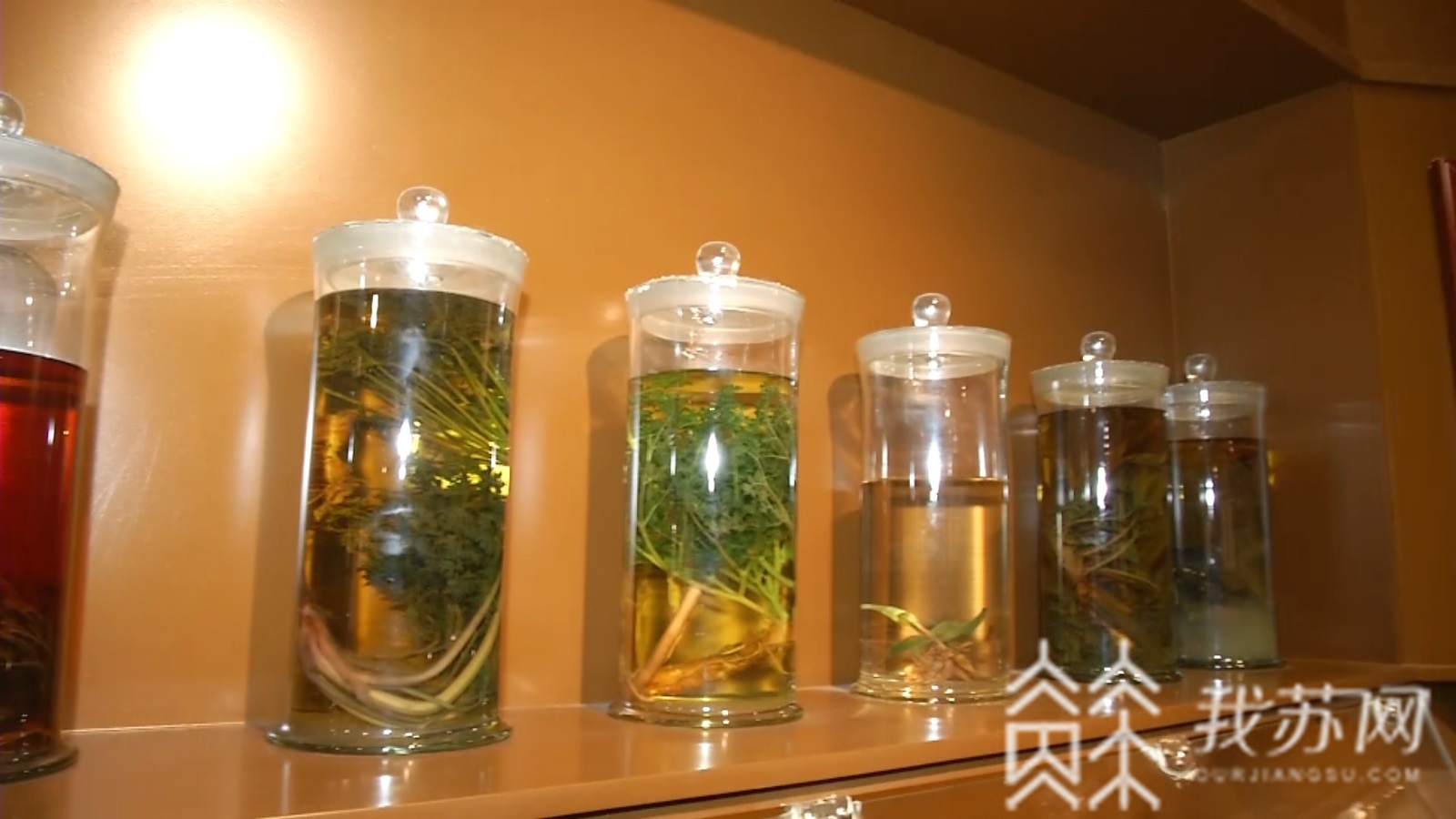 海南州■探访青海海南州,藏医的外科手术竟然比西医还早!