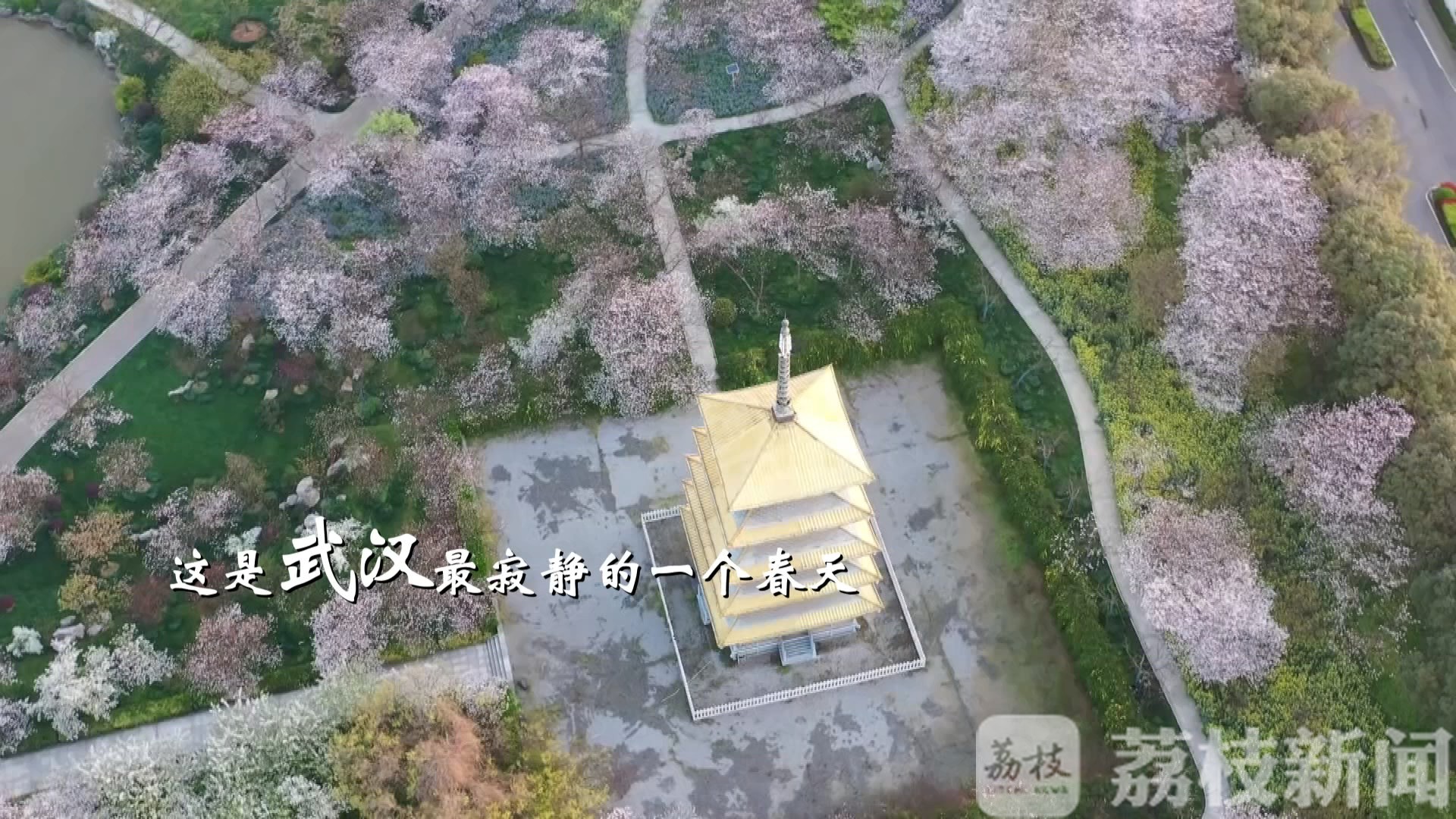 【武汉】英雄归来：把英雄的武汉念给你听，致敬并肩作战的“逆行者” 春暖花开