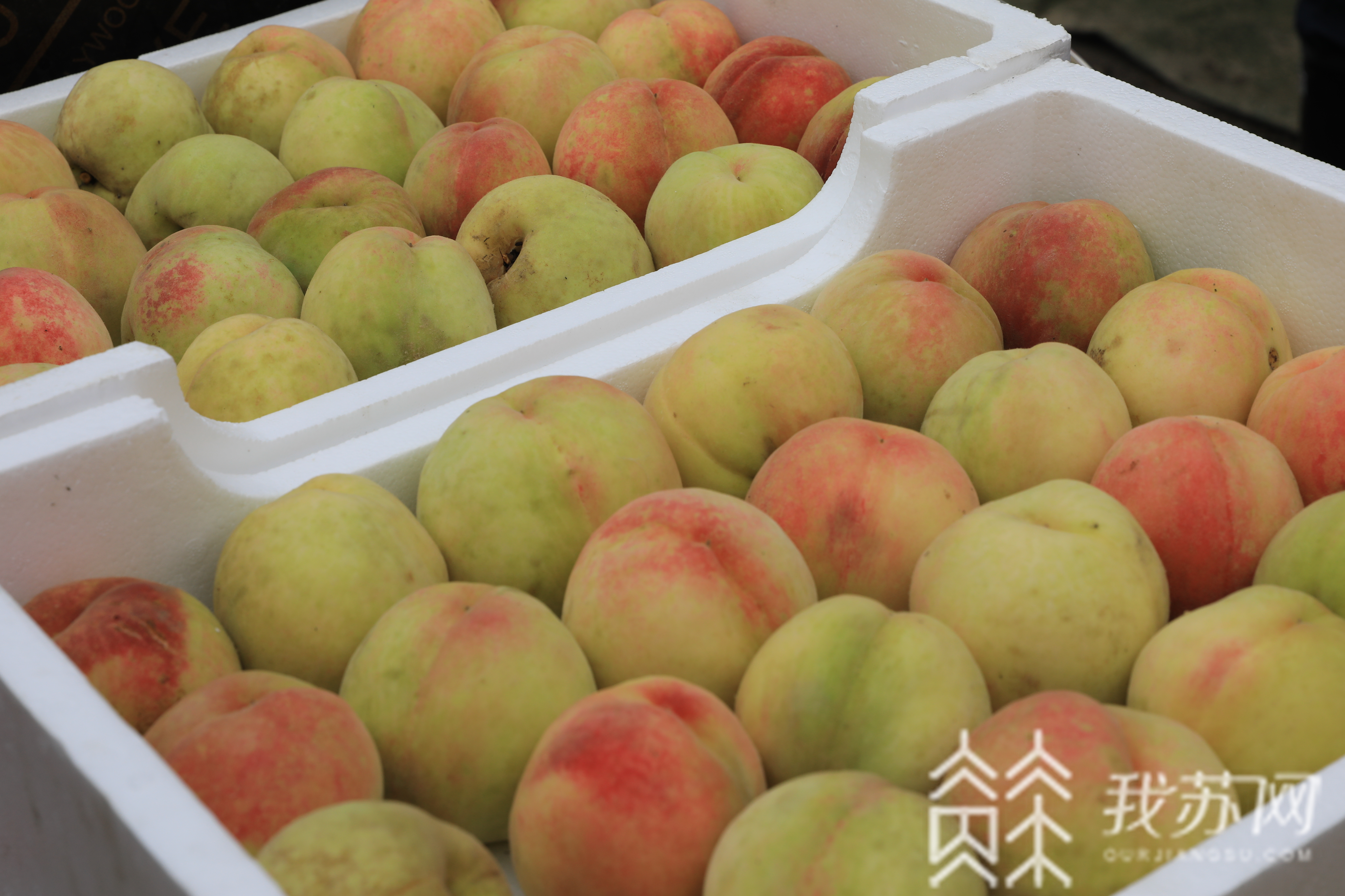 防汛■太湖防汛进入最关键时期,周边各地各部门严阵以待、积极应对|防汛抗灾第一线