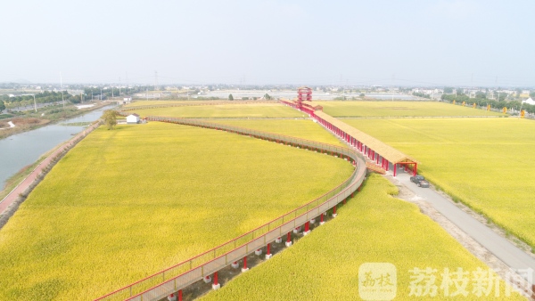 【秋到农家】频上热搜的网红打卡地 来了你就会被实力圈粉！