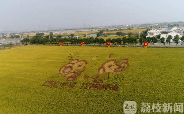 【秋到农家】频上热搜的网红打卡地 来了你就会被实力圈粉！