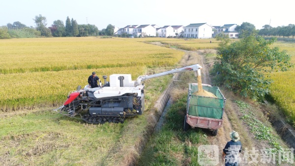 【秋到农家】频上热搜的网红打卡地 来了你就会被实力圈粉！