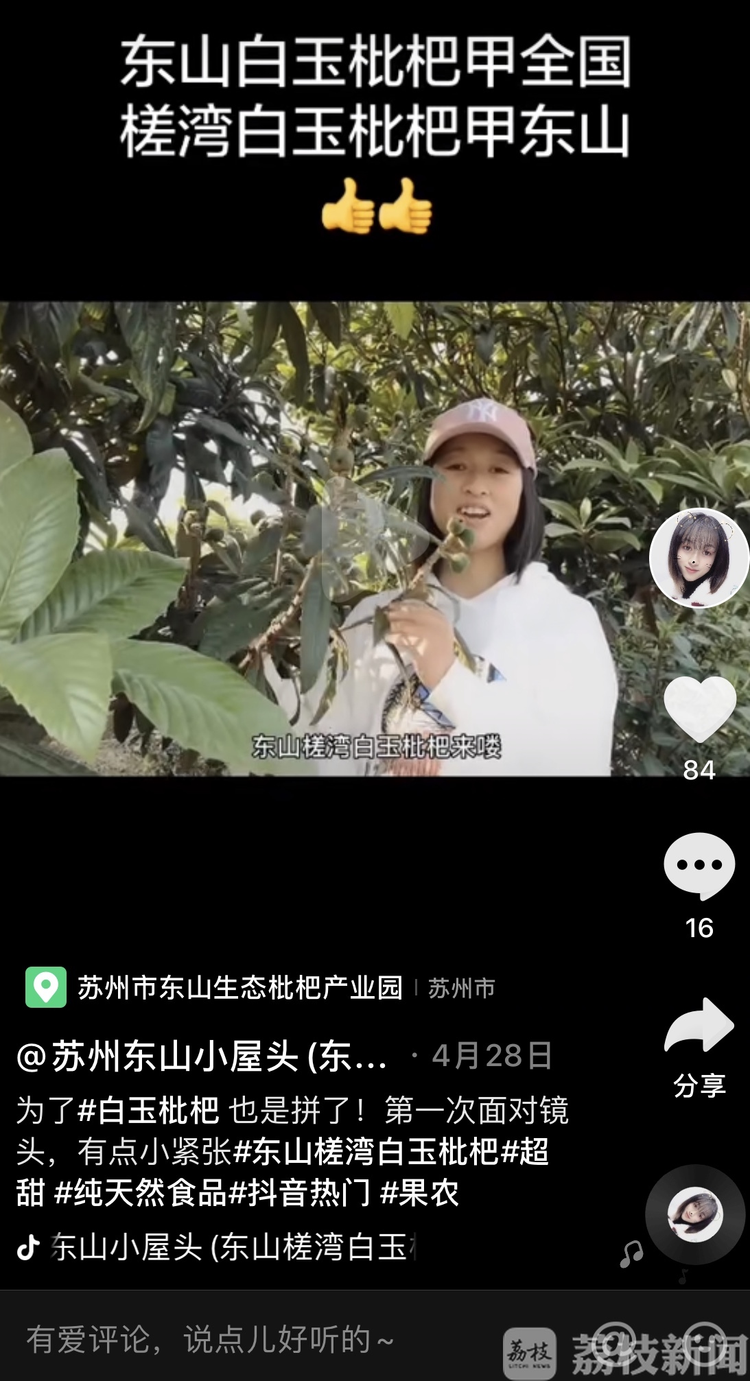 枇杷■产量翻番价格减半！苏州东山白沙枇杷上市