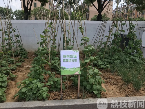 垃圾■环保手工房、厨余堆肥试验基地，南京市首家垃圾分类专向教育基地来了！