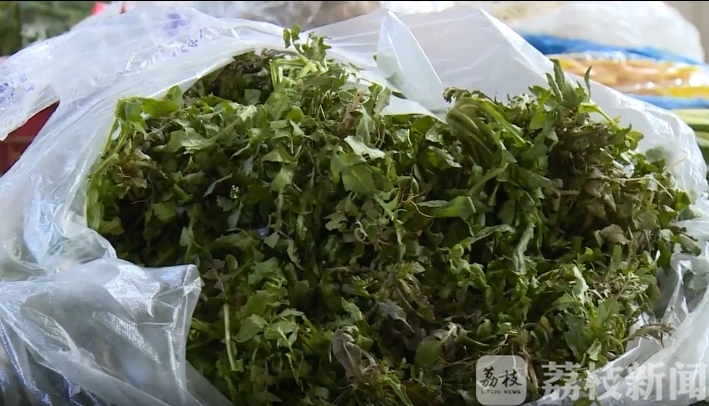 「野菜」 这些人群要少吃 春季野菜成餐桌“新宠”