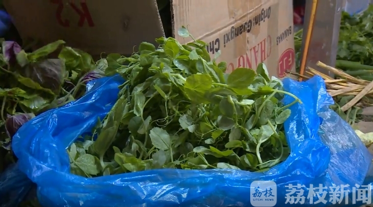 「野菜」 这些人群要少吃 春季野菜成餐桌“新宠”