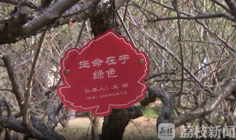 纪念林■致敬抗疫一线医护人员 共育“防疫纪念林”