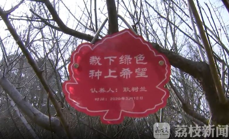 纪念林■致敬抗疫一线医护人员 共育“防疫纪念林”
