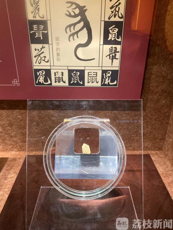 鼠年到 南博“藏鼠文物特展”告诉你关于鼠的“前世今生”