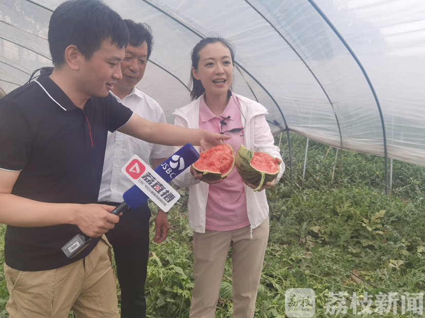 「」，贫困村变“品牌”村 ：荔直播走进淮安市苏嘴镇沙吉村 小西瓜成就大产业