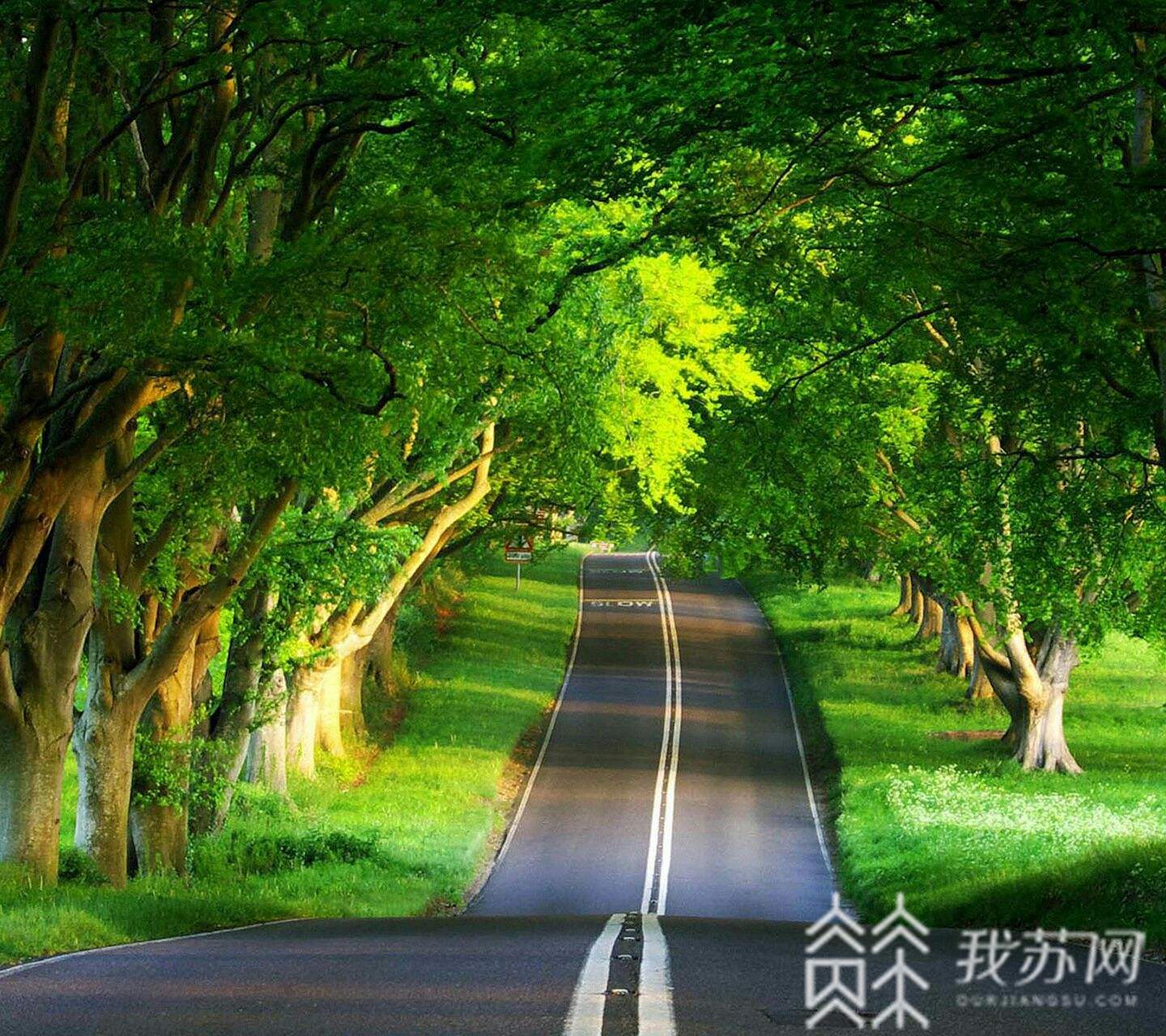 大暑■今日大暑如何养生？看看南京民俗你就知道了！