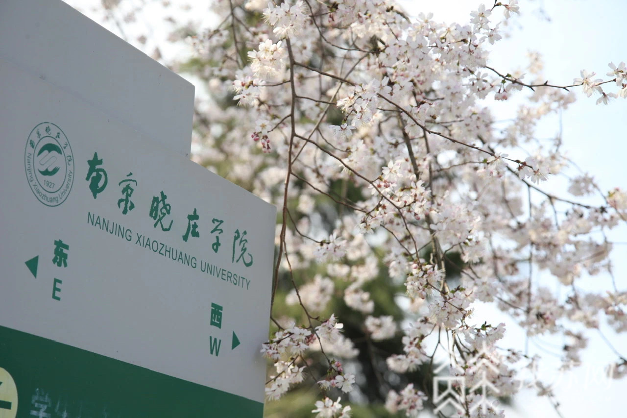专业■?南京晓庄学院文理科师范专业（类）省内招生录取调整为本一批次