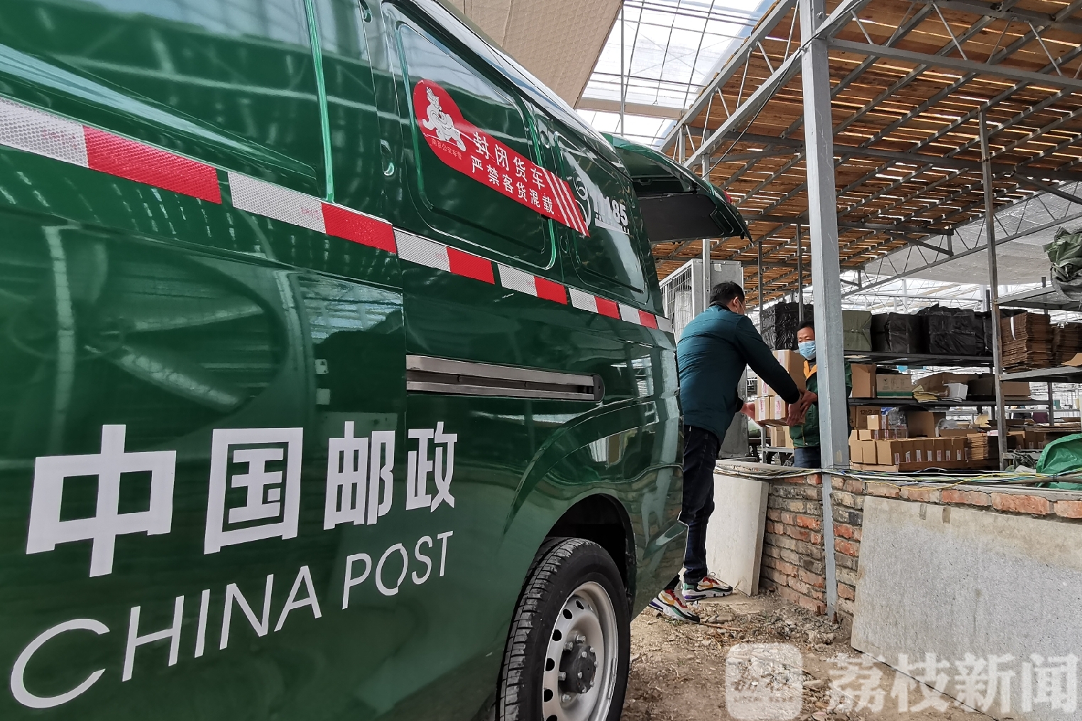 「滞销」 电商+快递解难题 30万盆绿植滞销
