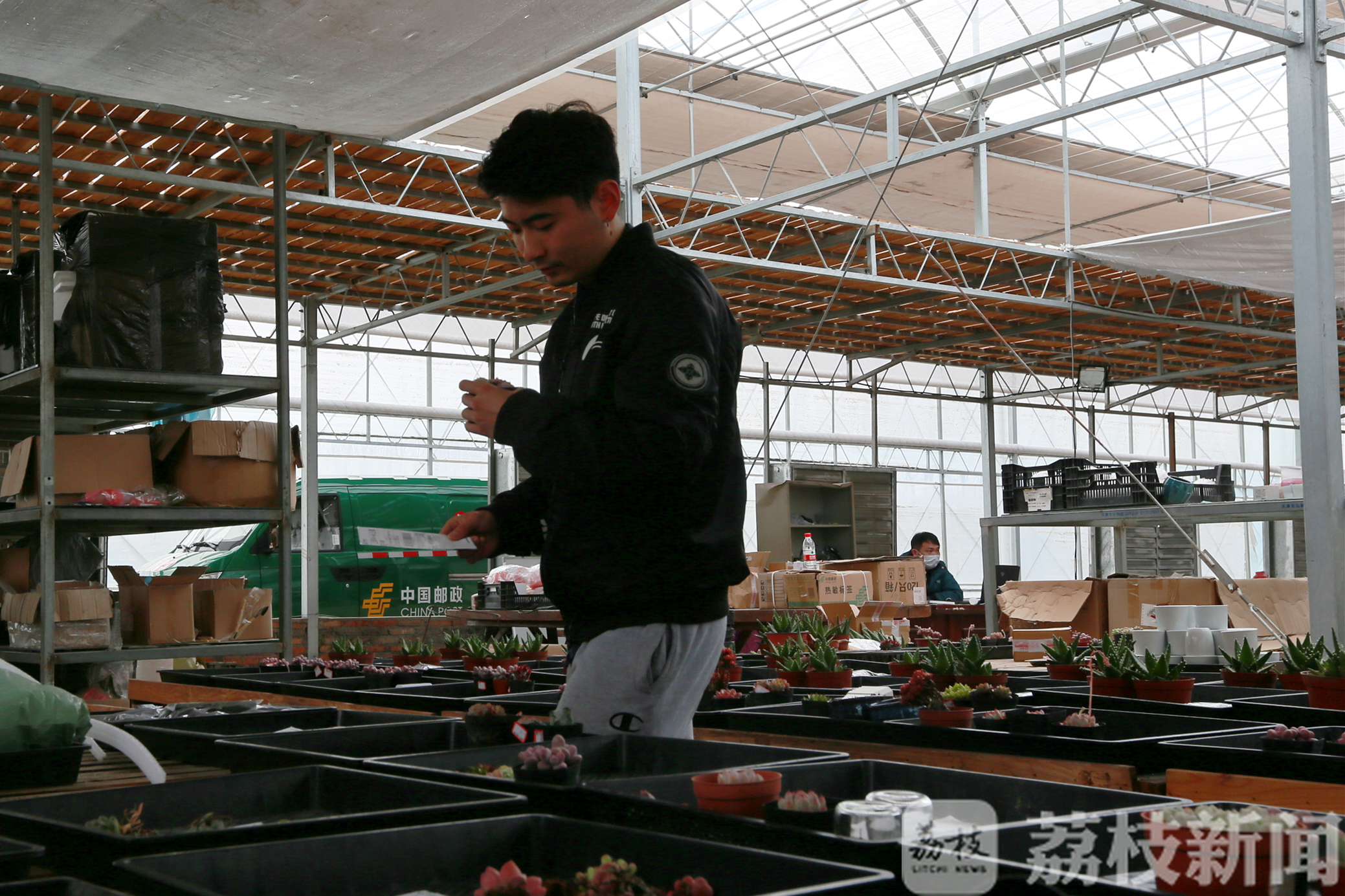「滞销」 电商+快递解难题 30万盆绿植滞销