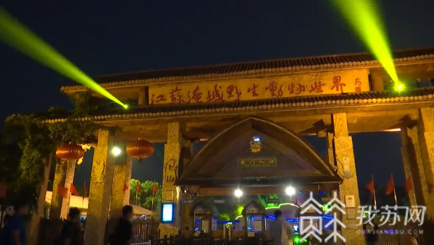 夜游■打卡动物世界、玩转昆曲小镇……江苏夜游活动丰富多彩