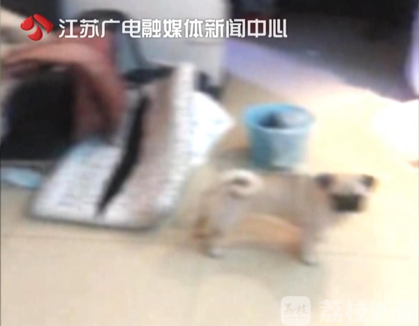 点击图片查看详情 失踪人口注销户口_...口音像越南人被注销户口 警方 手续涉嫌造假(3)