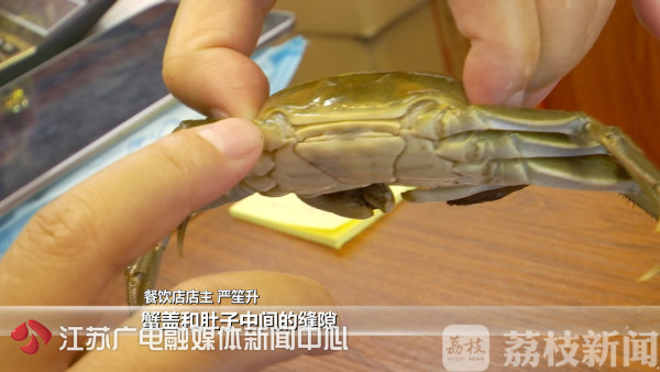 又到蟹肉肥美时！今年中秋吃蟹指南看这里