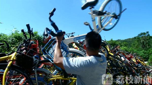 江宁“爱情隧道”旁为何惊现共享单车“墓道”?