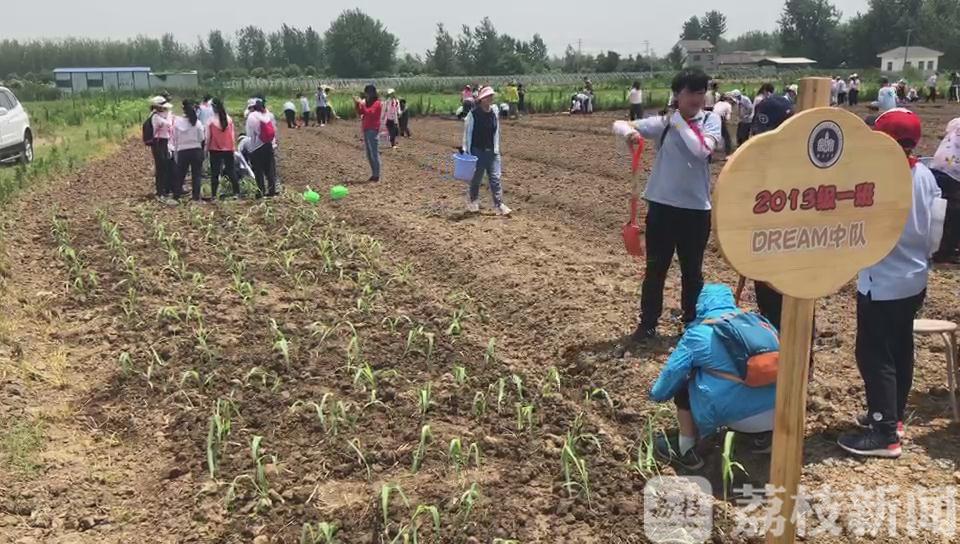 劳动教育■劳动教育将成为必修课！南京中小学已在行动