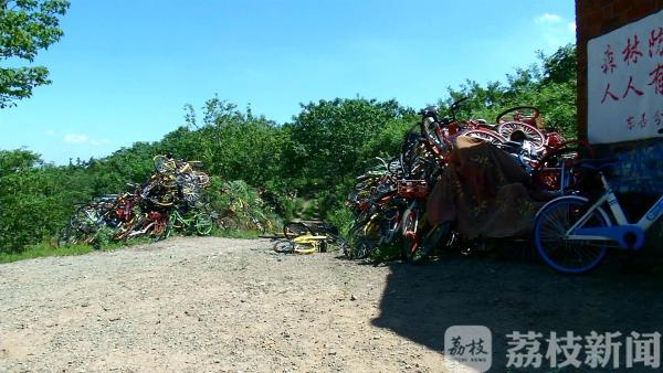 江宁“爱情隧道”旁为何惊现共享单车“墓道”?