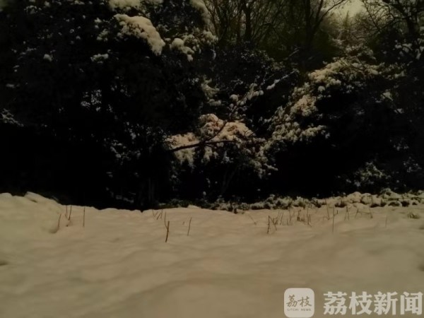 2019南京的第一场雪 在紫金山顶留下“礼物”